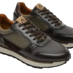 Ambitious 136756565-Trainer.