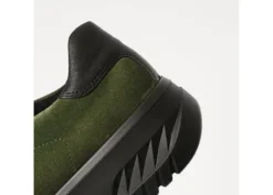 Ara 124670707- Trainer.