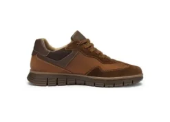 Ara 112340109-Trainer.
