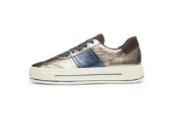 Ara 122301205-Trainer.