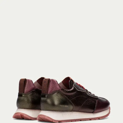 Hispanitas CHI254312B-Trainer.