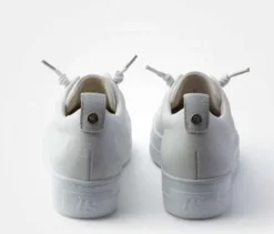 Paul Green - 5417046 - Trainer.
