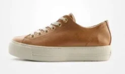Paul Green 4790637- Trainer.