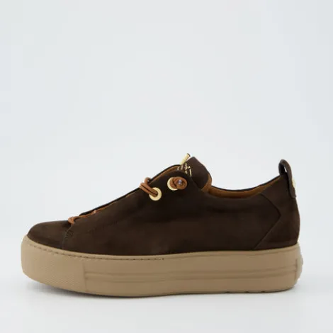 Paul Green 5017448- Trainer.