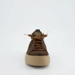 Paul Green 5017448- Trainer.