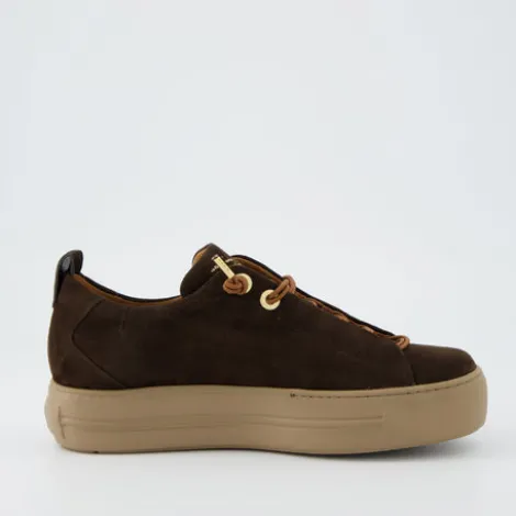 Paul Green 5017448- Trainer.