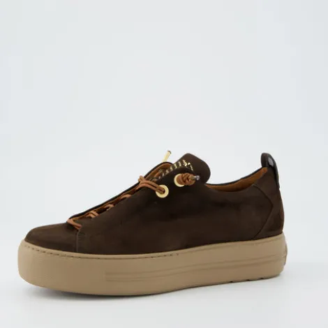Paul Green 5017448- Trainer.