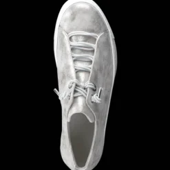 Paul Green 5017123- Trainer.