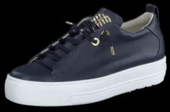 Paul Green 5017013- Trainer.