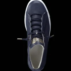 Paul Green 5017013- Trainer.
