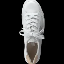 Paul Green 5330015- Trainer.