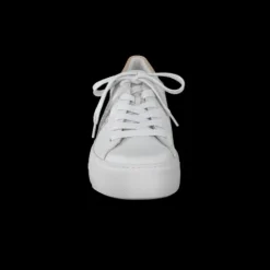 Paul Green 5330015- Trainer.