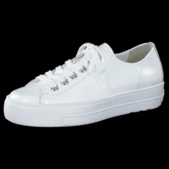 Paul Green 4790155- Trainer.