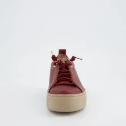 Paul Green 5017438- Trainer.