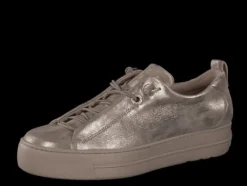 Paul Green 5417066- Trainer.