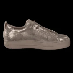 Paul Green 5417066- Trainer.