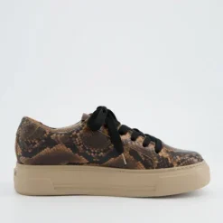 Paul Green 5469058- Trainer Boa.