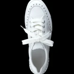 Paul Green 5381036-Trainer.
