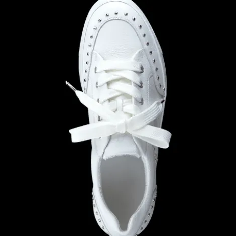 Paul Green 5381036-Trainer.
