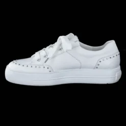 Paul Green 5381036-Trainer.