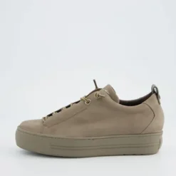 Paul Green 5017418-Trainer.