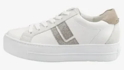 Paul Green 5430067-Trainer.