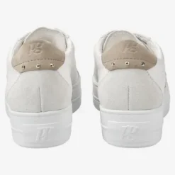 Paul Green 5430067-Trainer.