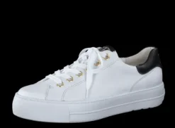 Paul Green 5320085-Trainer.