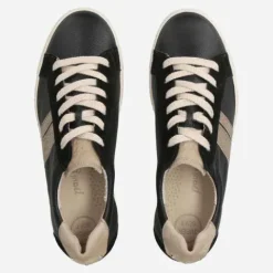 Paul Green 5430037-Trainer.