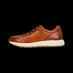 Salamander E31ASA0163- Trainer.