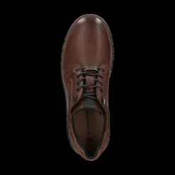 Salamander E31AV00160- Trainer.