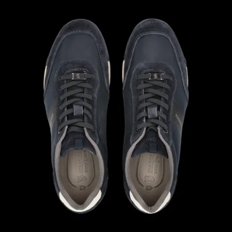 Salamander Navy Leather Trainer|E31AWA0341