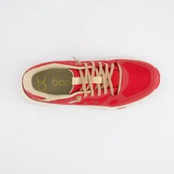 TenHaag 0006028- Trainer.